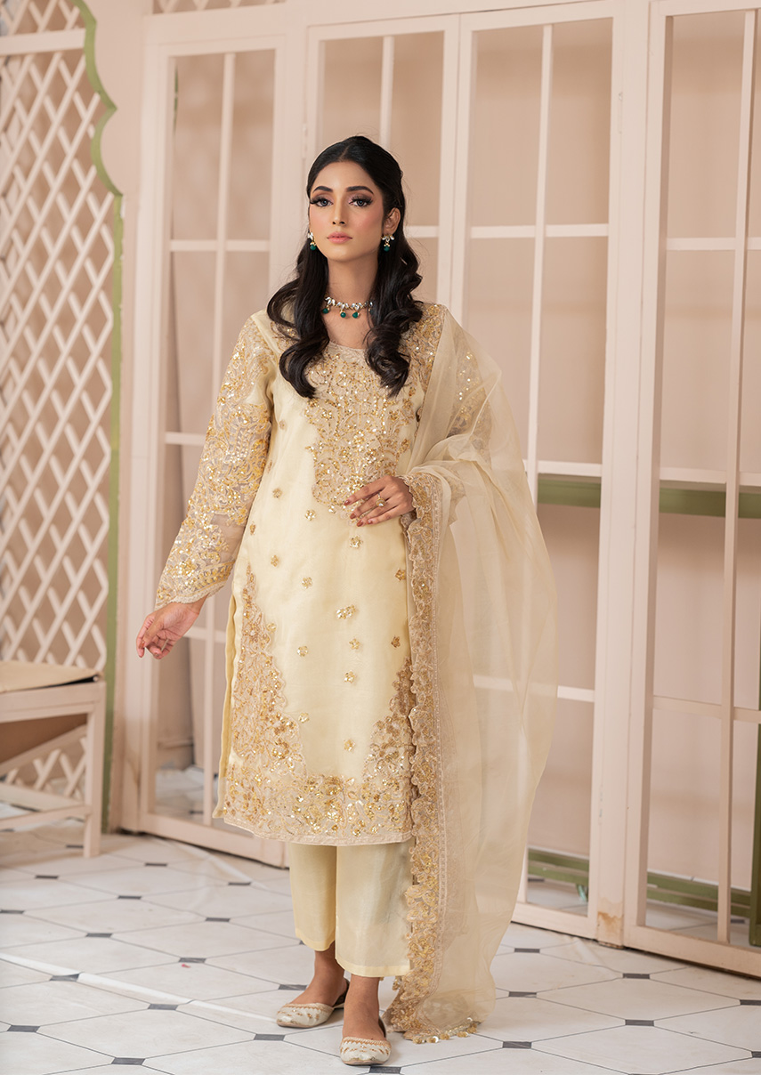 Buy Online Ladies Dresses in Pakistan - Women Stitched Suits Online